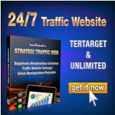 Cara TRAFFIC WEB TERTARGET