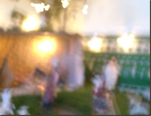 DSCN3890
