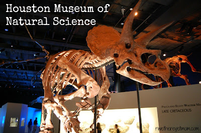 https://blogger.googleusercontent.com/img/b/R29vZ2xl/AVvXsEjNrFJggzr3tL7PBl2Rp6Jaza1GQ5vh3huNSxeL9rfrzVkbDb1yVGsFzgfSLWsxwJNZL5Bsneu948BqAf01cKRa4zgLVmlvje_AuFy_7AoE4SN5ETKG4Hf0zyhLJoMEhLFKOWgjOgH8EjNQ/s1600/Houston+Museum+of+Natural+Science.jpg