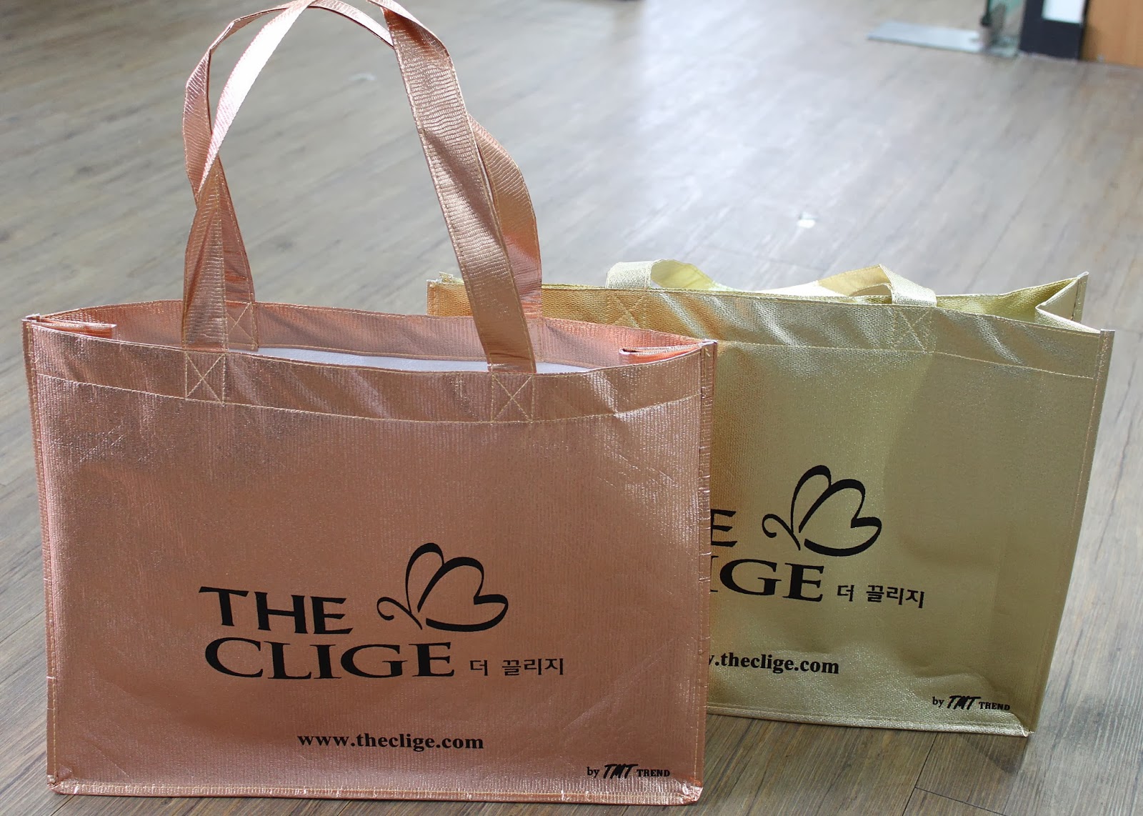 2013 version of The Clige Non-woven Bag.