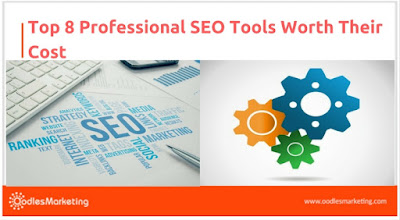 Professional SEO Tools 