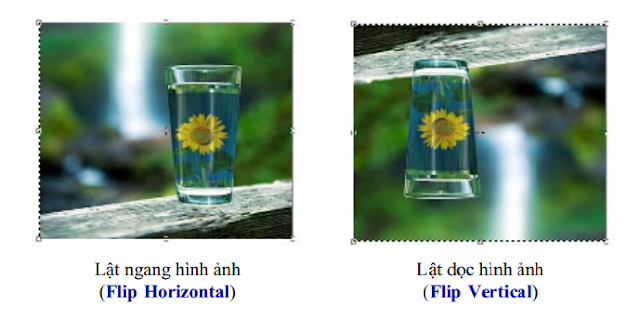 flip