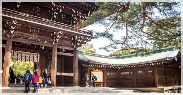 meiji jingu sringe