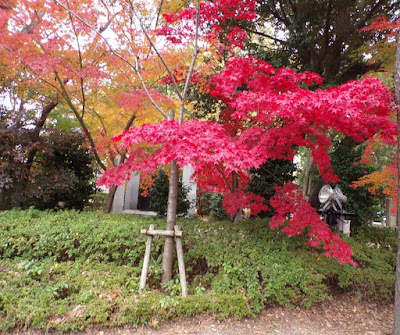 templo zojoji tokio