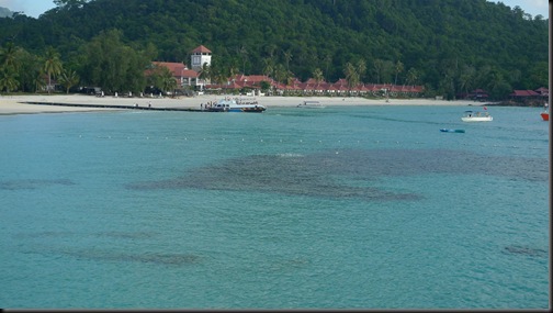 P1100032