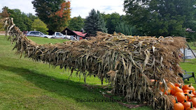 Eclectic Red Barn: Hugh Cornucopia with Pumpkins