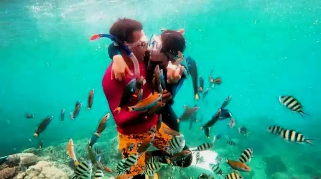 Menyelam di Karimun Jawa