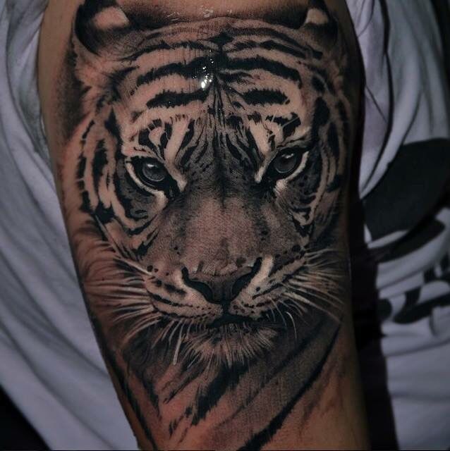 Fantastis 24 Gambar Tato Harimau Di Lengan Gambar Tato 