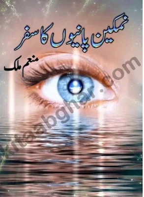 namkeen-panion-ka-safar-novel-episode-12