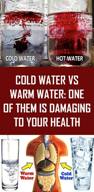 Cold Water Vs Warm Water: One of Them is Damaging to Your Health