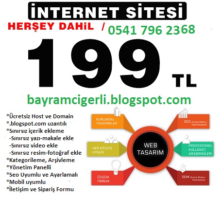 ucuz ve kolay web site, en ucuz web site, web site yapmak istiyorum