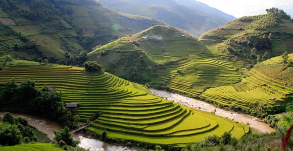 Tapiz verde sobre Sapa