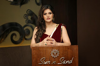 zarine khan glamorous in saree unseen pics