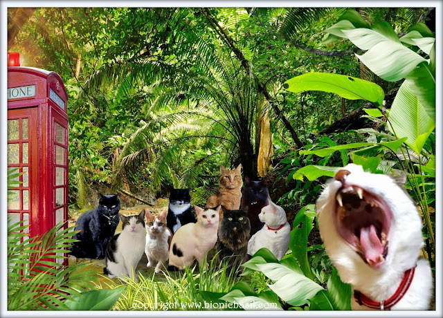 The B Team's Jungly Thailand Selfie ©BionicBasil® The Sunday Selfies Blog Hop