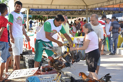 Resultado de imagem para feira da agricultura familiar de chapadinha