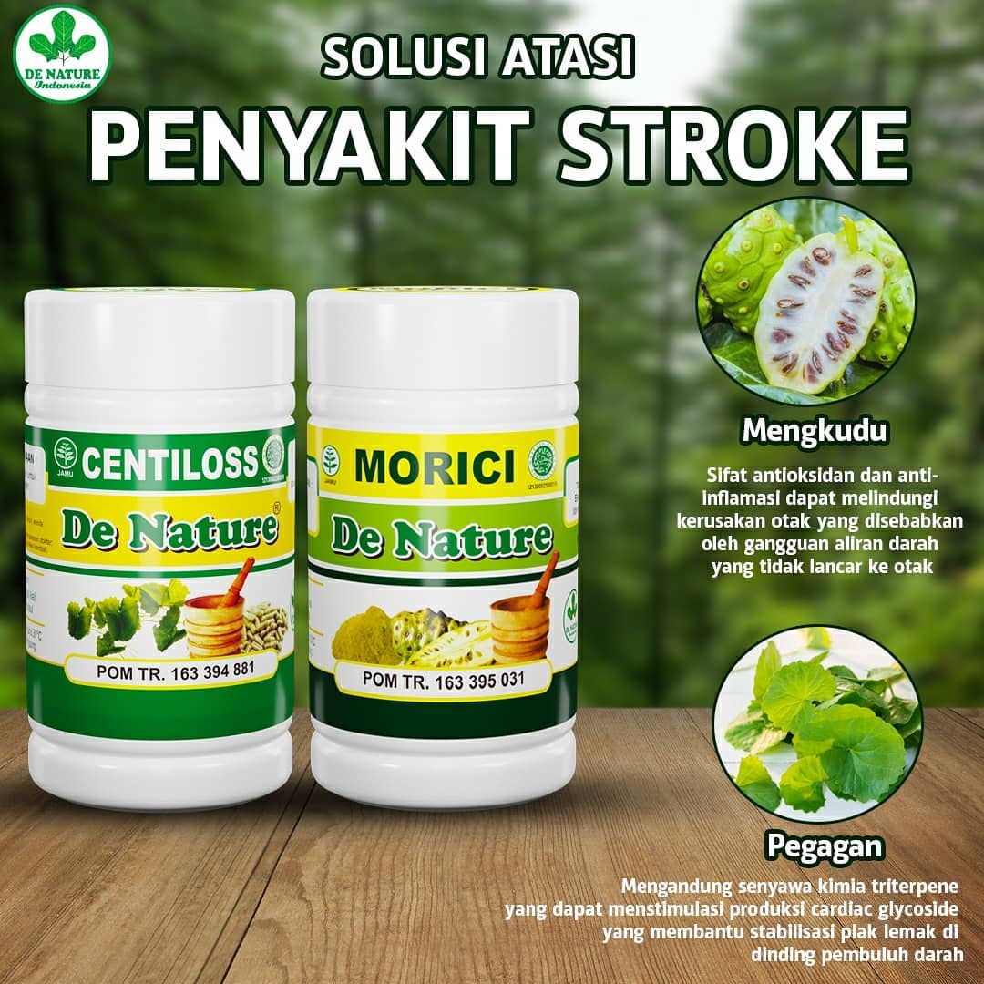 Obat Stroke