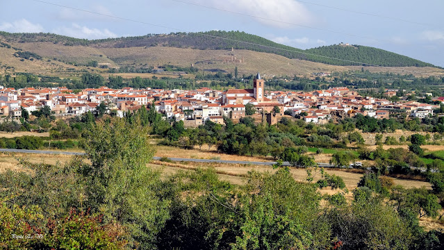 Jérez del Marquesado, Alcázar