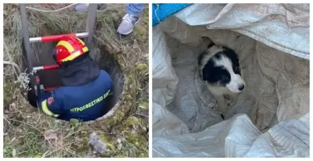 Πυροσβέστης σώζει σκυλάκι