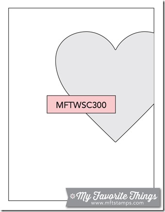 MFT_WSC_300