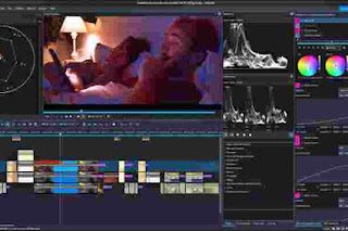 Software Gratis: No Watermark Video Downloader