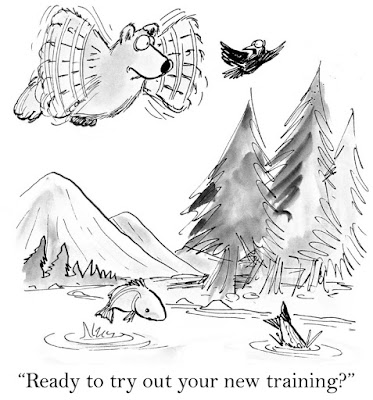 A bird says, "Ready to try out your new training?" to a cartoon bear in the air flapping its paws as it tries to fly