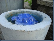 DSC00009