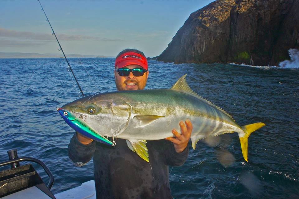 EBB TIDE TACKLE - The BLOG: Our Southern Summer = Kingfish