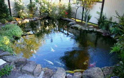 Desain kolam ikan minimalis di lahan sempit, konsep kolam ikan minimalis terbaik
