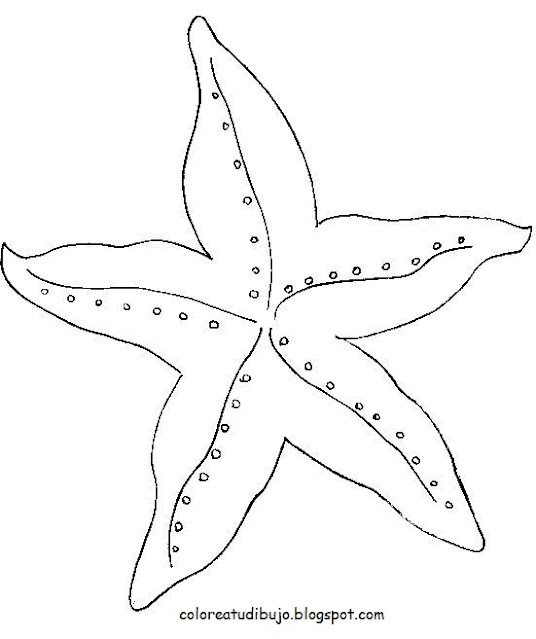 Estrella de mar DELGADA para colorear