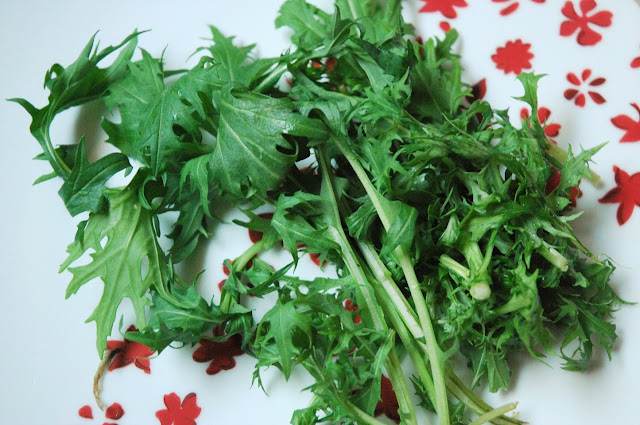 Pesto de feuilles de moutarde