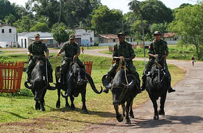 ilha do Marajó