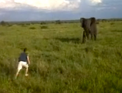 South African Man Charges Wild Elephant