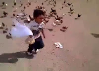 Niño huyendo de gallinas hambrientas