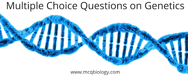 Multiple Choice Questions on Genetics