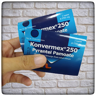 Konvermex