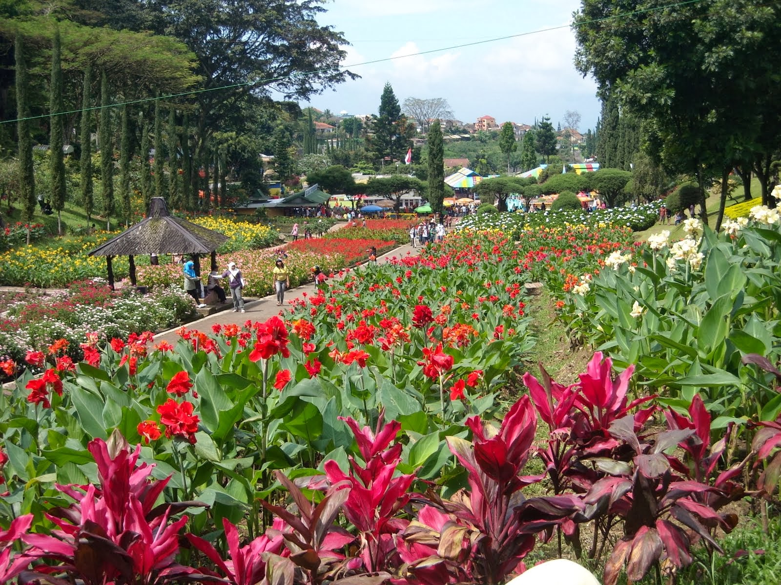 Menikmati Bandung Kota Kembang Di Kebun Bunga Cihideung Jendela