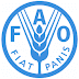 Job Opportunity at FAO, Monitoring and Evaluation Specialist 