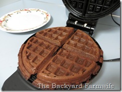 chocolate waffle - The Backyard Farmwife