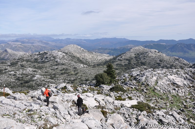 Subida al Pico de los Pinos