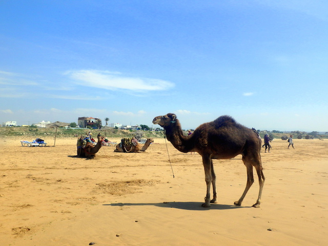 Sidi Kaouki, Morocco.