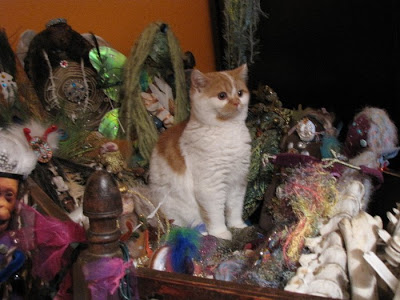 camilla la mer, art dolls, spirit dolls, healing dolls, shaman dolls, process art, bead embroidery, jungian psychology, personal, kittens