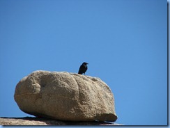 3006 Jumbo Rock Joshua Tree National Park CA