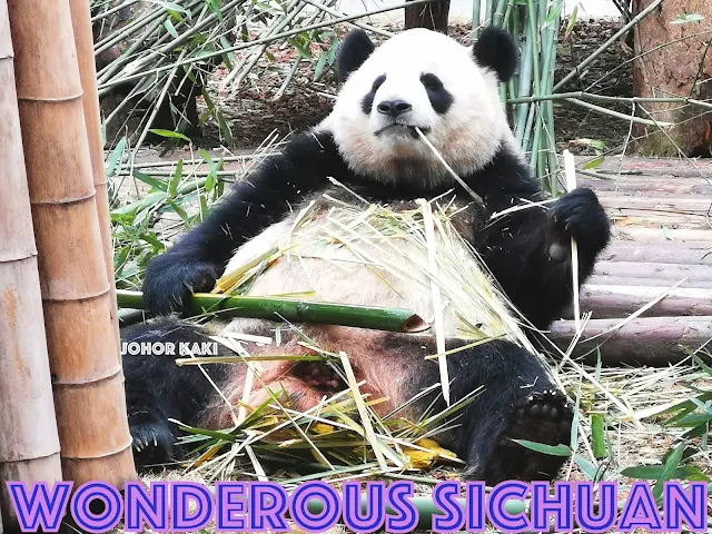 Six Day Sichuan Tour - Exploring the Land of Mystery, Majesty & Gastronomy Sichuan Panda