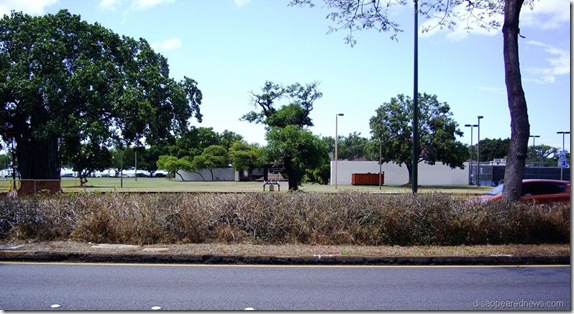 Hedges