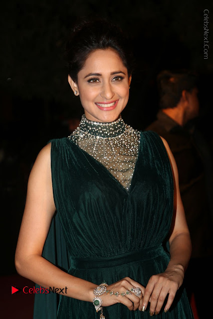 Actress Pragya Jaiswal Stills in Green Long Dress at Gemini TV Puraskaralu 2016 Event  0001.JPG