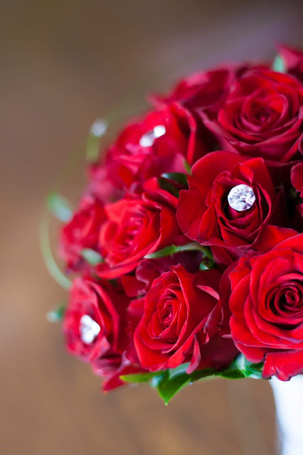 red-roses-hd-images-download