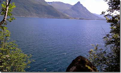 IMAG0391