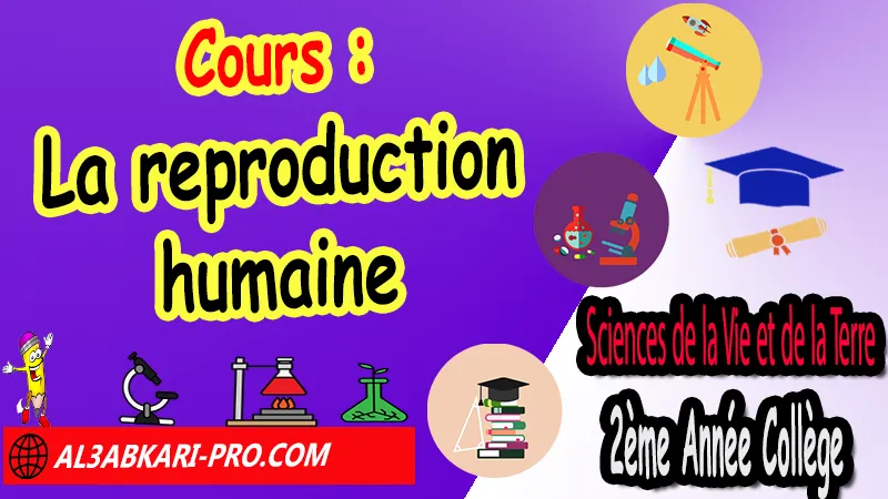 Cours N°2 sur la reproduction humaine, Sciences de la Vie et de la Terre (SVT) de 2ème Année Collège, SVT 2AC biof, Sciences de la Vie et de la Terre (SVT) 2APIC option française, Cours de la reproduction humaine 2ème Année Collège 2AC, Résumé de cours La reproduction humaine 2ème Année Collège 2AC, Cours et résumés sur La reproduction humaine 2ème Année Collège 2AC, Activités sur La reproduction humaine 2ème Année Collège 2AC, exposé sur La reproduction humaine, Cours de Sciences de la Vie et de la Terre (SVT) 2ème année collège en Francais