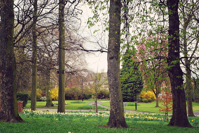 Sheffield in bloom