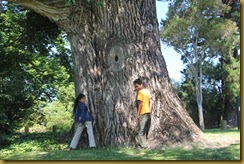IMG_2572